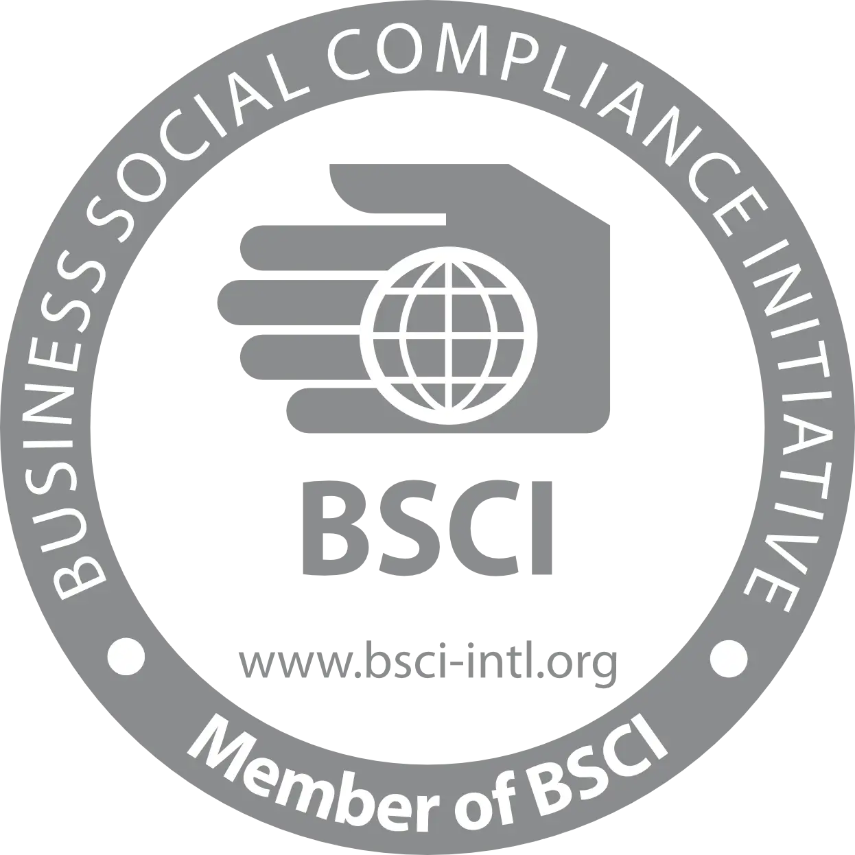 BSCI Logo